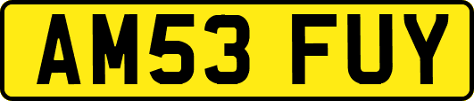 AM53FUY
