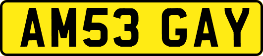 AM53GAY
