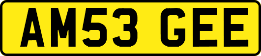 AM53GEE