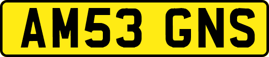 AM53GNS