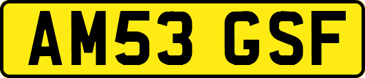 AM53GSF