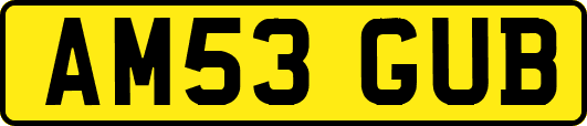AM53GUB