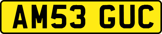AM53GUC