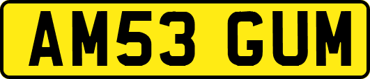 AM53GUM