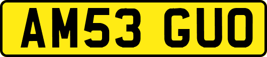 AM53GUO