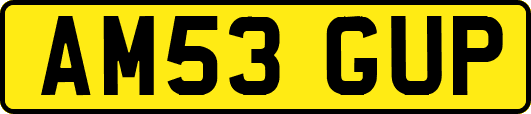 AM53GUP