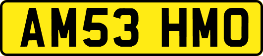 AM53HMO