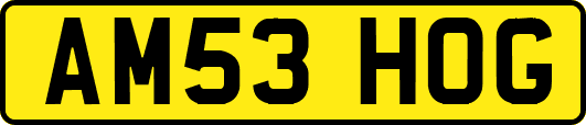 AM53HOG