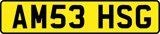AM53HSG
