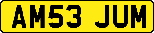 AM53JUM