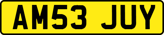 AM53JUY