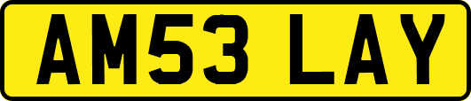 AM53LAY