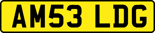 AM53LDG