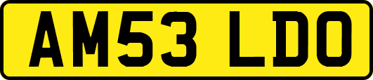 AM53LDO