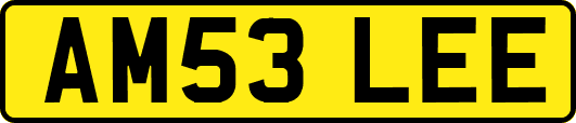 AM53LEE