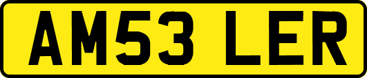 AM53LER