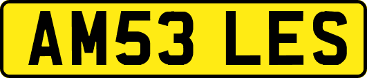 AM53LES