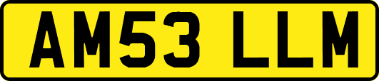 AM53LLM