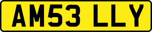 AM53LLY