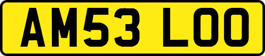 AM53LOO