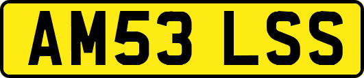 AM53LSS