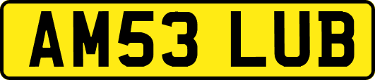 AM53LUB