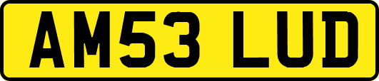 AM53LUD
