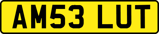 AM53LUT