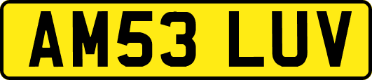 AM53LUV