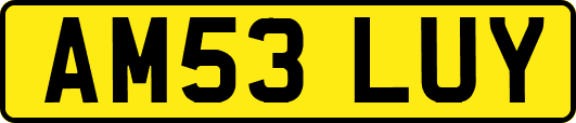 AM53LUY