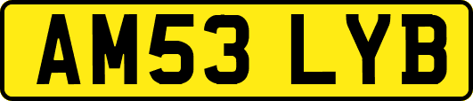AM53LYB
