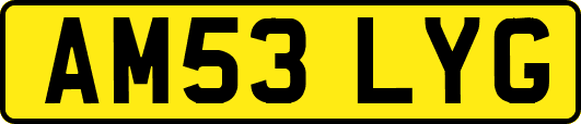AM53LYG