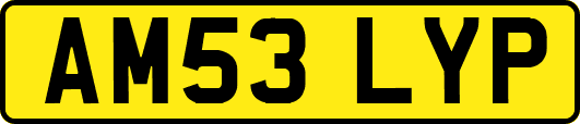 AM53LYP