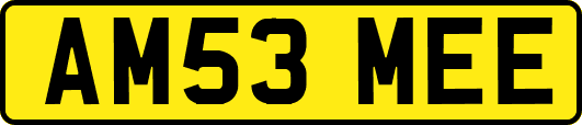 AM53MEE