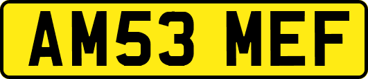 AM53MEF