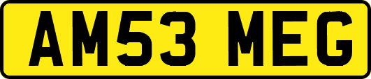 AM53MEG