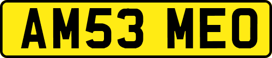 AM53MEO