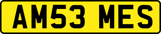 AM53MES