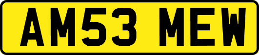 AM53MEW
