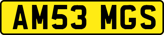 AM53MGS