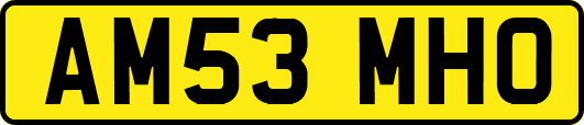AM53MHO