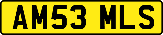 AM53MLS