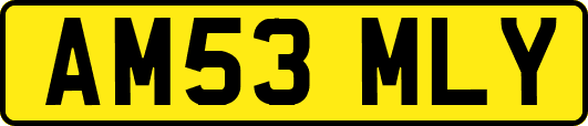 AM53MLY