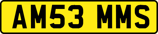 AM53MMS