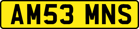 AM53MNS