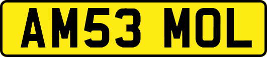 AM53MOL