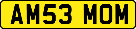 AM53MOM