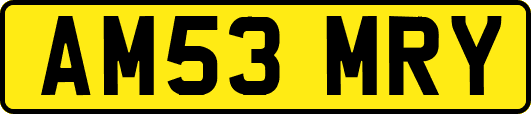 AM53MRY