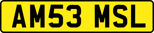 AM53MSL