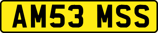 AM53MSS